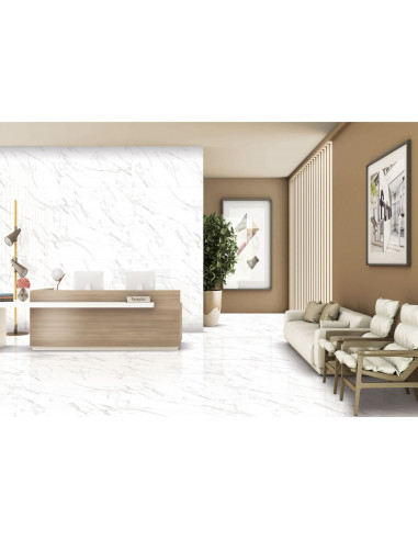 Carrelage effet marbre blanc l.120 x...