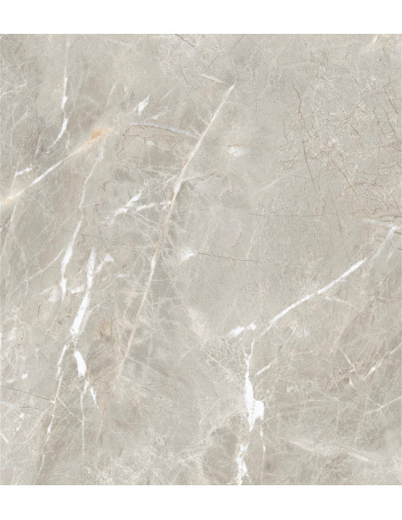 Carrelage effet brillant 60x60 coleur gris modèle Jiniva Natural