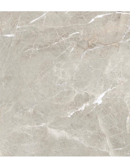 Carrelage effet brillant 60x60 coleur gris modèle Jiniva Natural