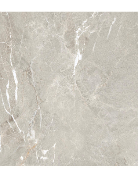 Carrelage effet brillant 60x60 coleur gris modèle Jiniva Natural