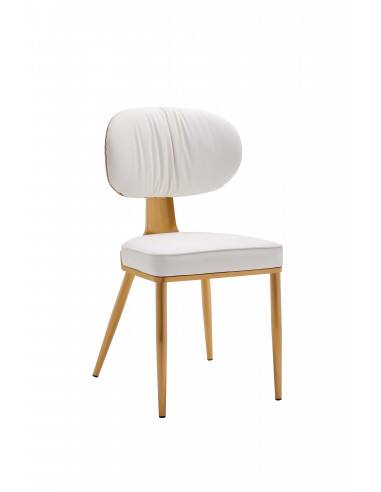 Chaise Moderne Alex - Assise en Tissu avec Pieds en Acier Inoxydable