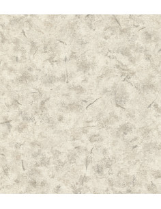 Rasch Papier peint 649703 - Papier peint intissé imitation béton en g