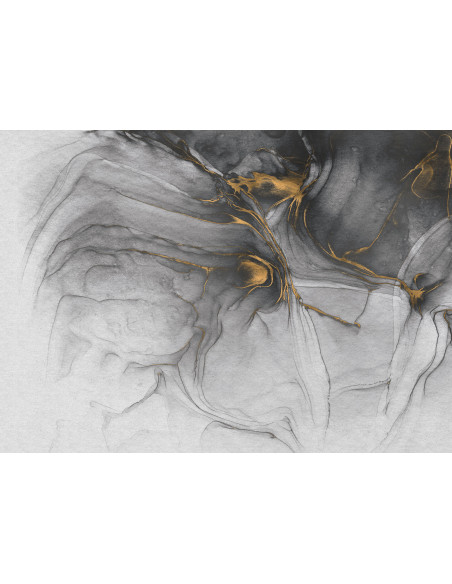 Photo murale panoramique intissé \'Ink Gold Flow