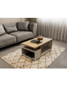 Table Basse ACCESS – Design Moderne et Fonctionnel – Fabrication Française